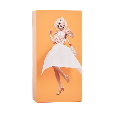 Cartoon anime girl tissue box flying skirt tissue box pod skirt girl face pumping carton cute desktop decorative ornament m5010683